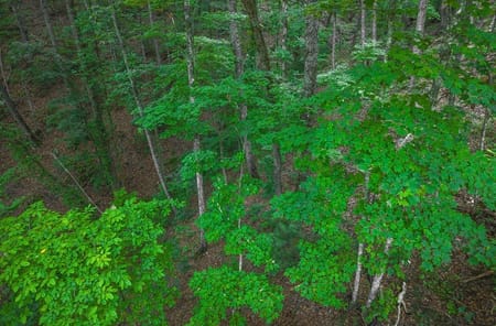 Ellijay, GA 30540 Gilmer County