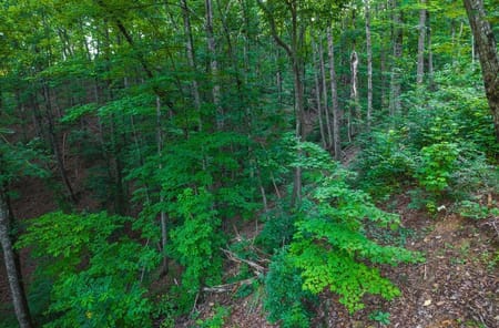 Ellijay, GA 30540 Gilmer County