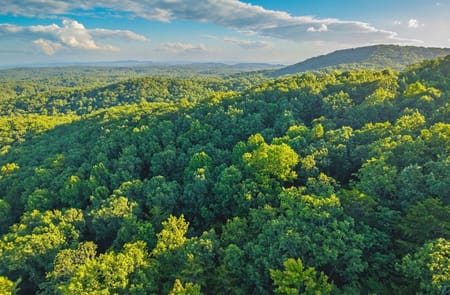 Ellijay, GA 30540 Gilmer County