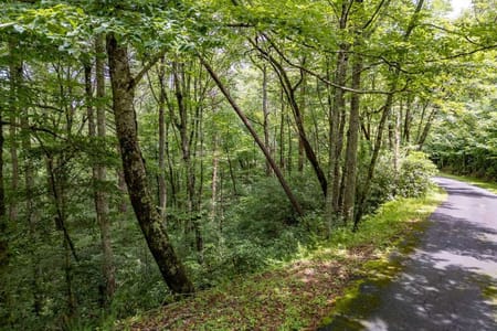 Ellijay, GA 30540 Gilmer County