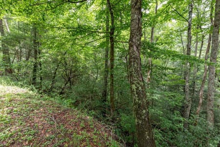 Ellijay, GA 30540 Gilmer County
