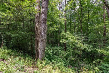 Ellijay, GA 30540 Gilmer County