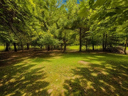 Blairsville, GA 30512 Union County