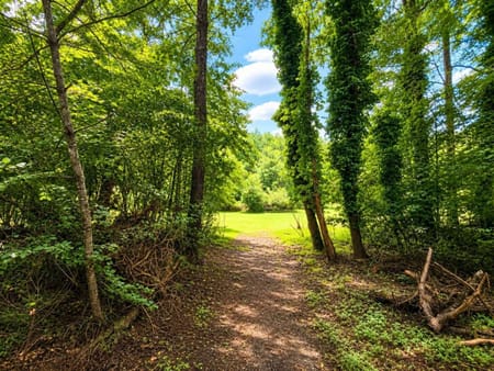 Blairsville, GA 30512 Union County