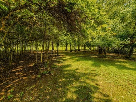 Blairsville, GA 30512 Union County