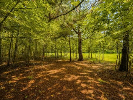 Blairsville, GA 30512 Union County