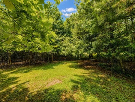 Blairsville, GA 30512 Union County