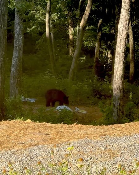 Talking Rock, GA 30175 Gilmer County