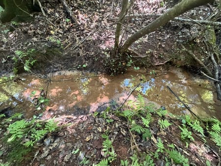 Elberton, GA 30635 Elbert County