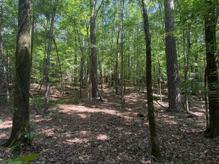 Elberton, GA 30635 Elbert County