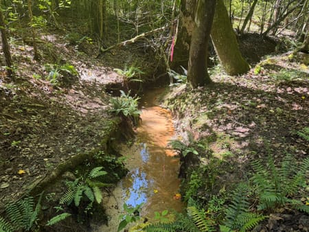 Elberton, GA 30635 Elbert County