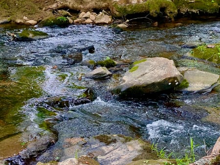 Blairsville, GA 30512 Union County