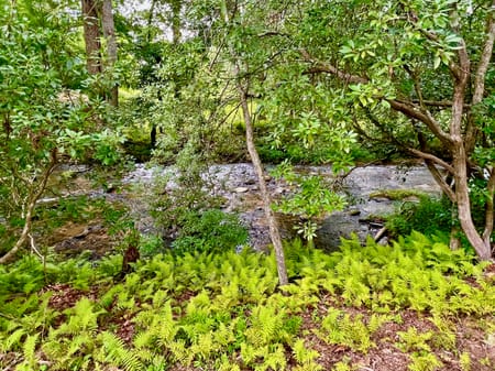 Blairsville, GA 30512 Union County