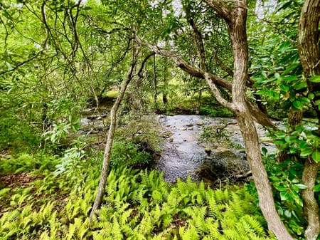 Blairsville, GA 30512 Union County