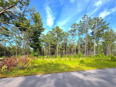Milledgeville, GA 31061 Baldwin County