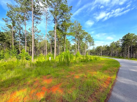 Milledgeville, GA 31061 Baldwin County