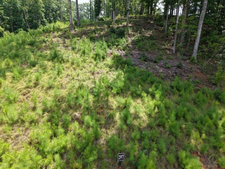 Talking Rock, GA 30175 Gilmer County