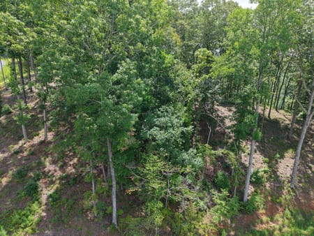 Talking Rock, GA 30175 Gilmer County