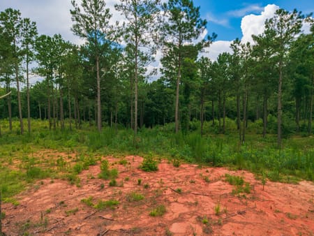 Milledgeville, GA 31061 Baldwin County