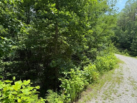 Ellijay, GA 30536 Gilmer County