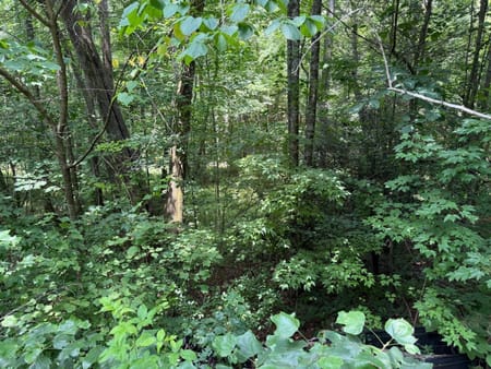 Ellijay, GA 30536 Gilmer County