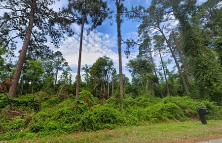 Swainsboro, GA 30401 Emanuel County