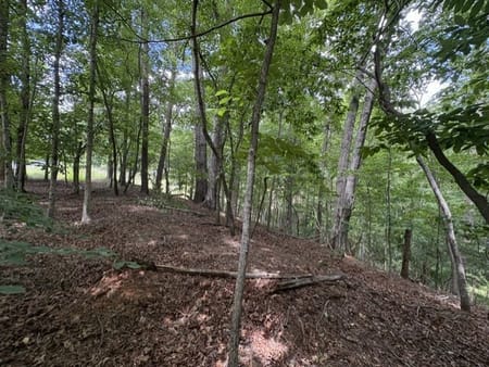 Dahlonega, GA 30533 Lumpkin County