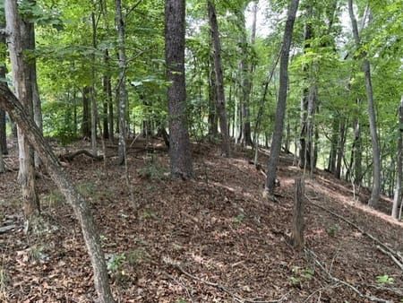 Dahlonega, GA 30533 Lumpkin County