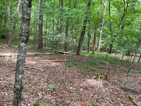 Dahlonega, GA 30533 Lumpkin County