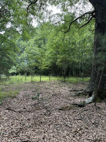 Watkinsville, GA 30677 Oconee County