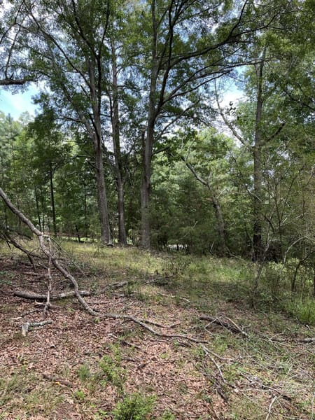 Watkinsville, GA 30677 Oconee County