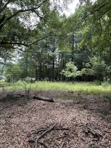 Watkinsville, GA 30677 Oconee County