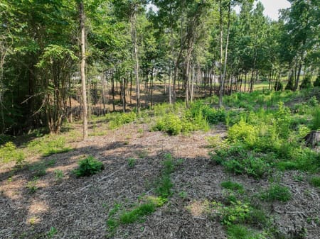 Bogart, GA 30622 Oconee County