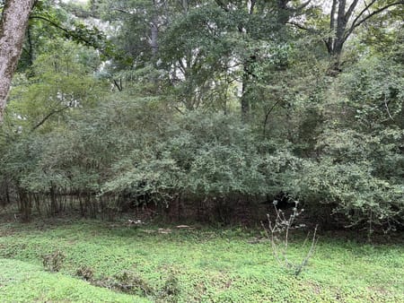 Watkinsville, GA 30677 Oconee County