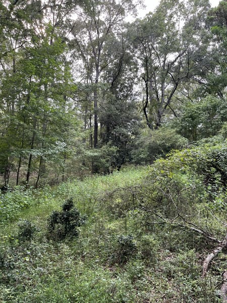 Watkinsville, GA 30677 Oconee County