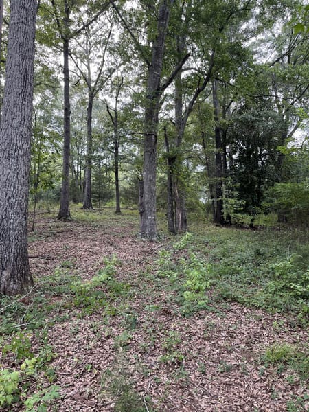 Watkinsville, GA 30677 Oconee County