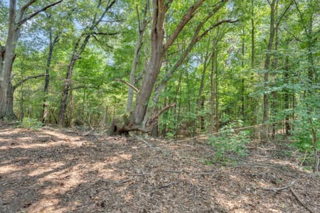 Watkinsville, GA 30677 Oconee County