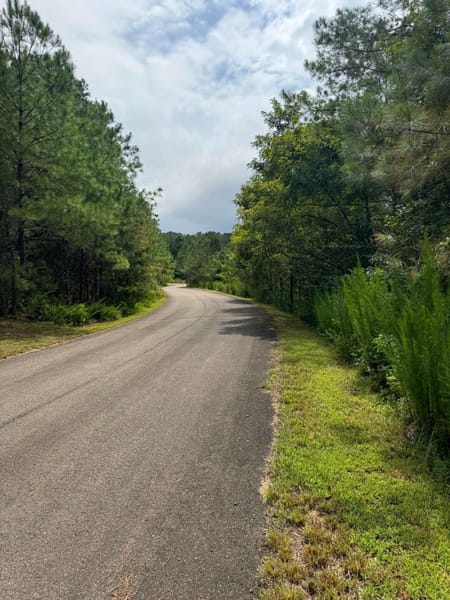 Ellijay, GA 30536 Gilmer County