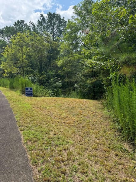 Ellijay, GA 30536 Gilmer County