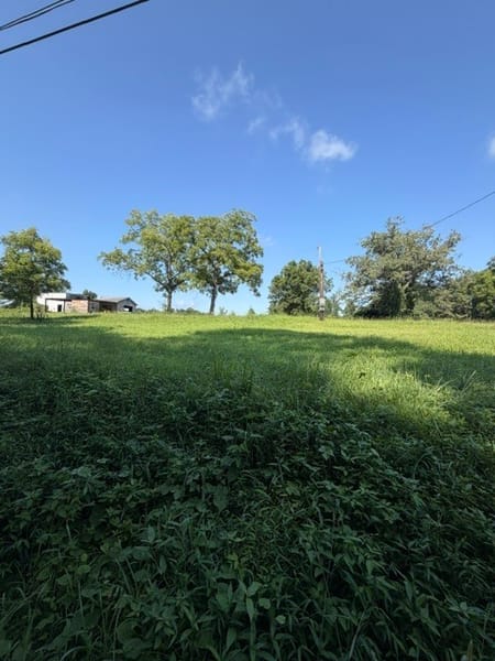 Tallapoosa, GA 30176 Haralson County