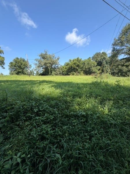 Tallapoosa, GA 30176 Haralson County