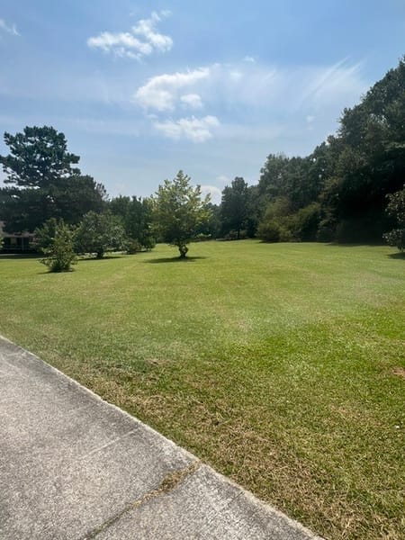 Manchester, GA 31816 Meriwether County