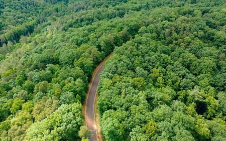 Ellijay, GA 30540 Gilmer County