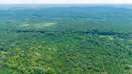 Union Point, GA 30669 Greene County