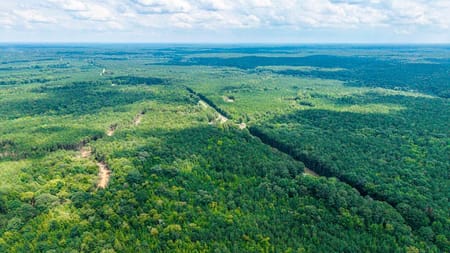 Union Point, GA 30669 Greene County