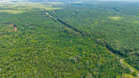 Union Point, GA 30669 Greene County