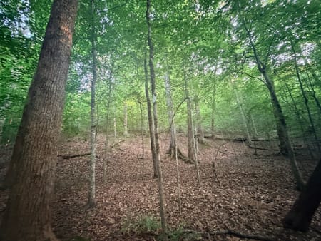 Tignall, GA 30668 Wilkes County
