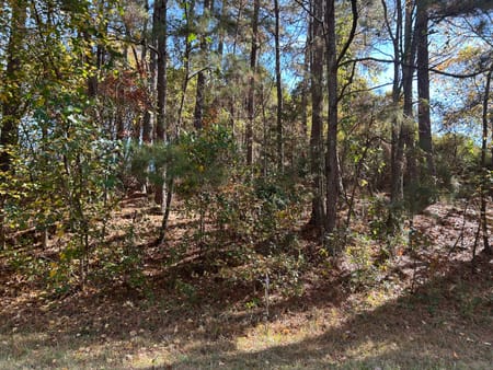Loganville, GA 30052 Walton County