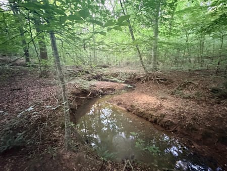 Tignall, GA 30668 Wilkes County