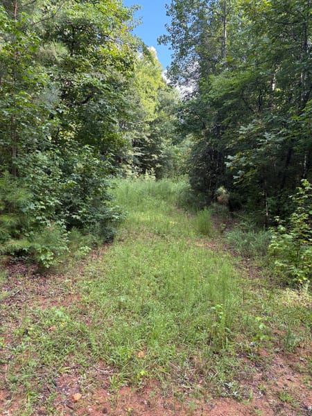 Elberton, GA 30635 Elbert County